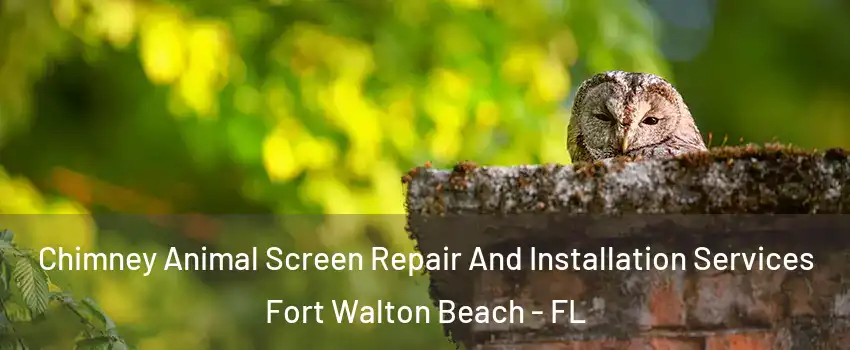  Chimney Animal Screen Repair And Installation Services Fort Walton Beach - FL