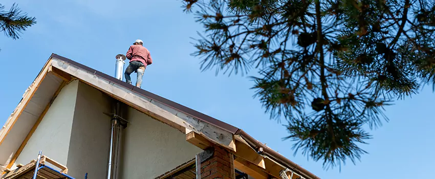 Birds Removal Contractors from Chimney in Fort Walton Beach, FL