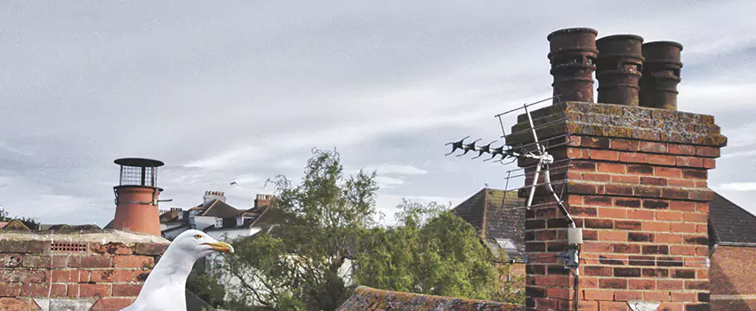 Chimney Cleaning And Restoration in Fort Walton Beach, Florida